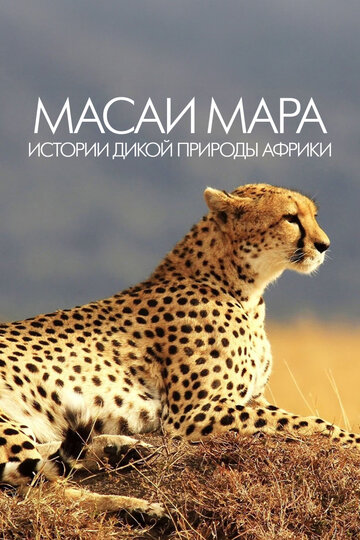 Масаи Мара. Истории дикой природы Африки